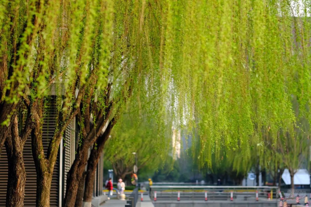 《学习贯彻党的二十届三中全会精神述评》出版发行