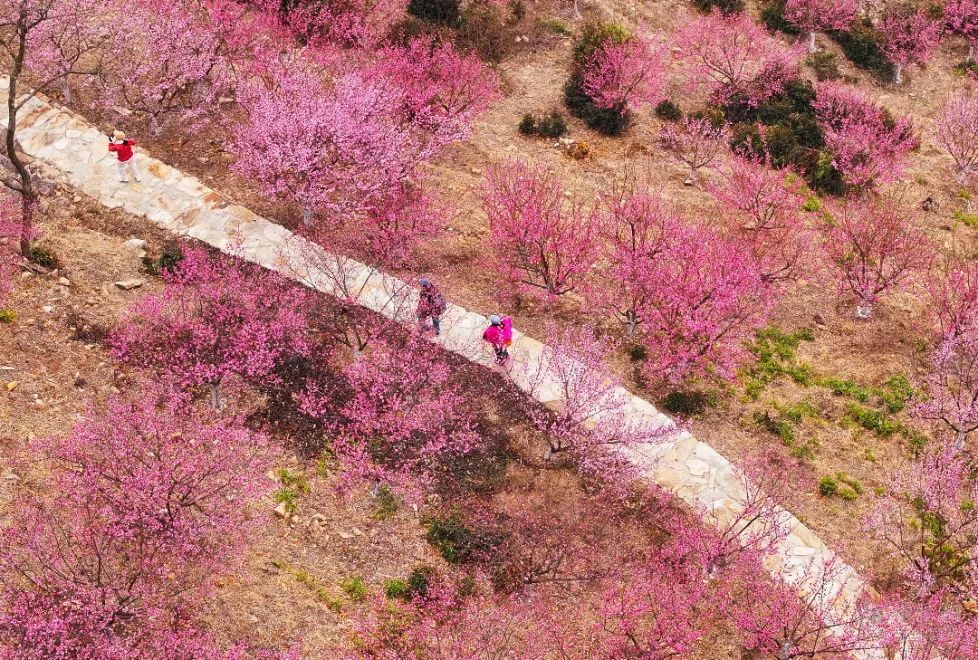 一箭五星，力箭一号首次将卫星送入晨昏轨道